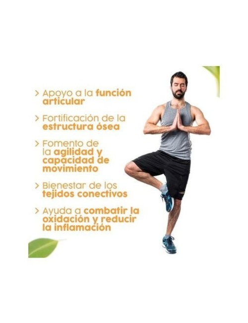 ARTICUDOL 30 COMP ESPADIET