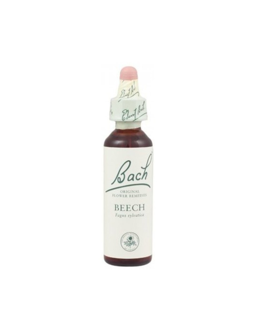 BACH BEECH (HAYA) 20 ML