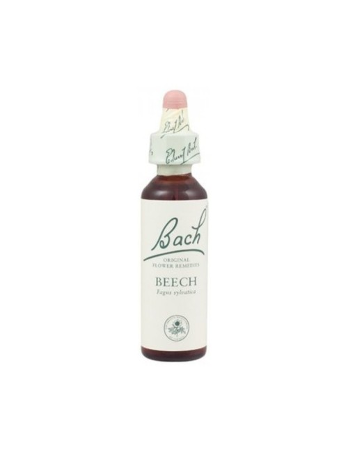 BACH BEECH (HAYA) 20 ML