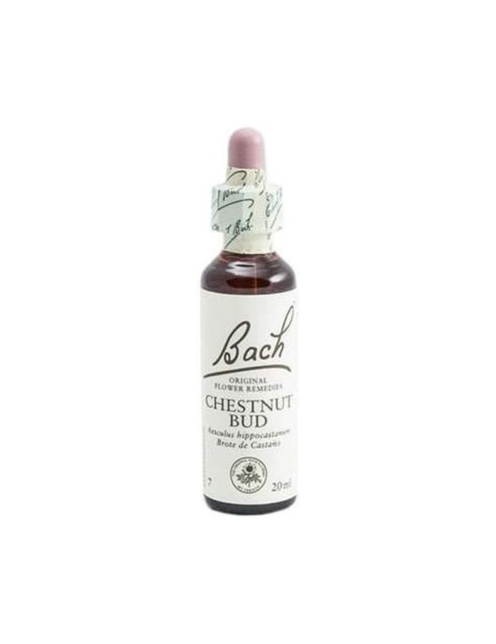 BACH CHESTNUT BUD (CASTAÑO) 20 ML