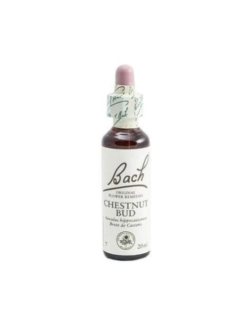 BACH CHESTNUT BUD (CASTAÑO) 20 ML