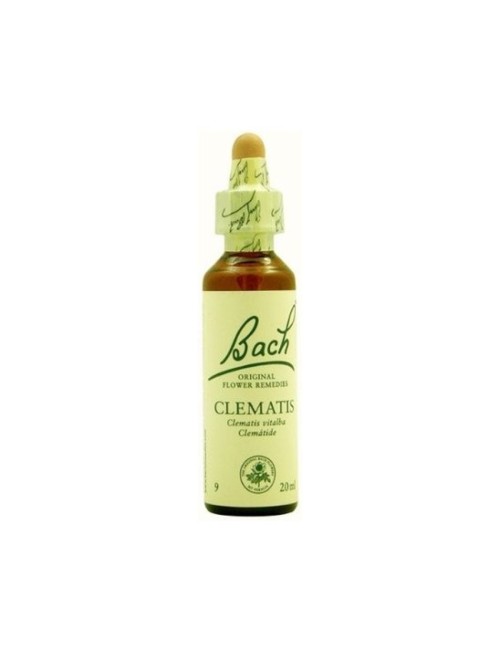 BACH CLEMATIS (CLEMATIDE) 20 ML
