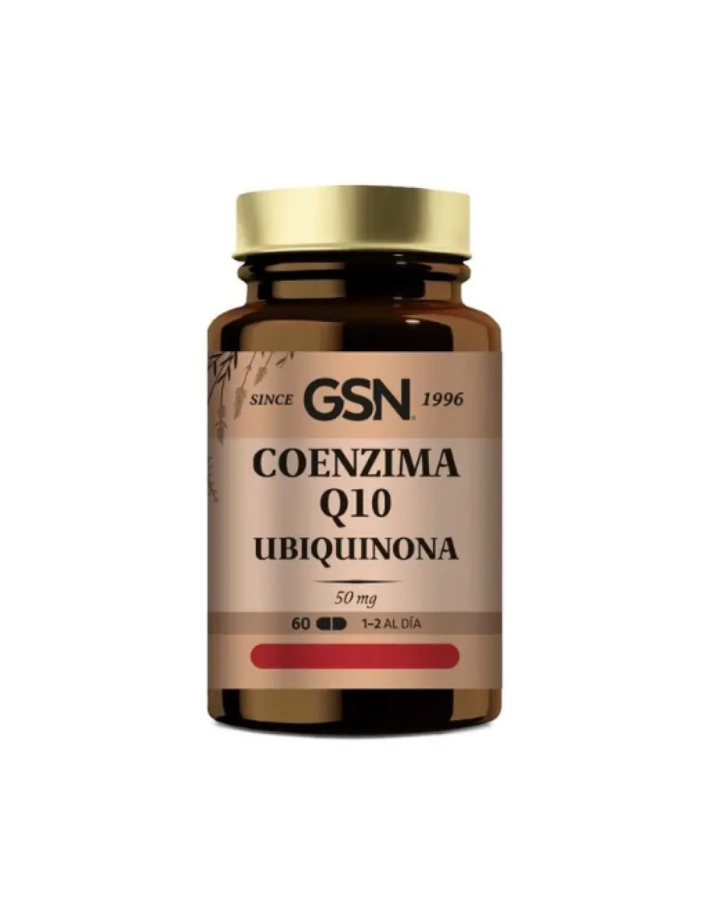 COENZIMA Q 10 50 MG 60 COMP GSN