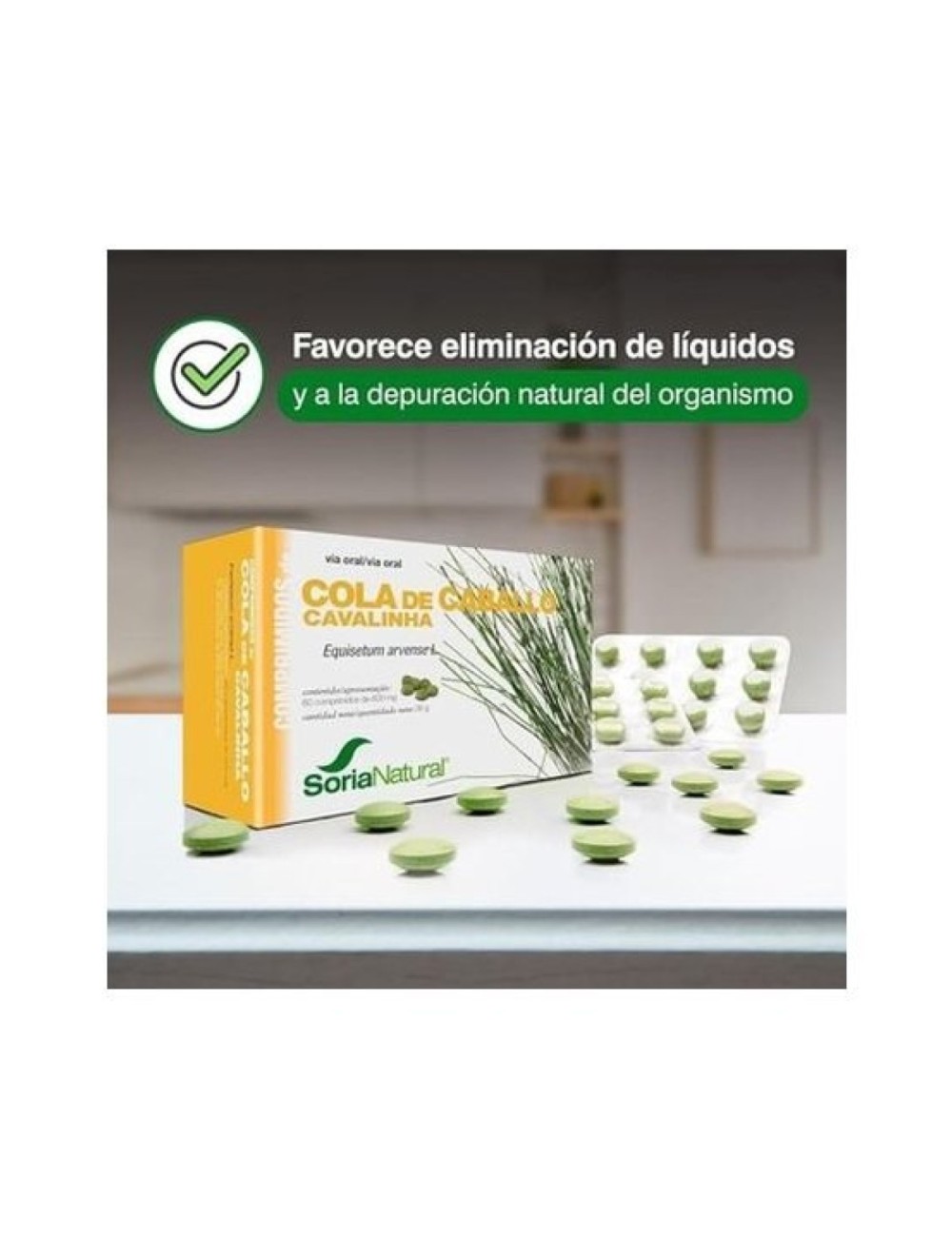 COLA DE CABALLO 60 COMP