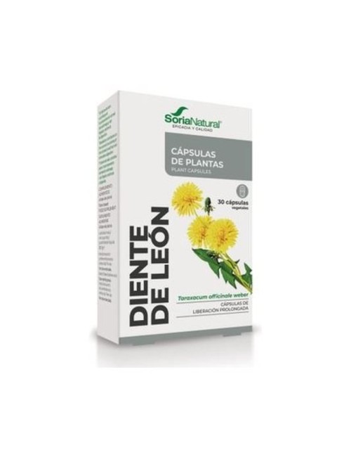 DIENTE DE LEÓN 30 CAP SORIA NATURAL
