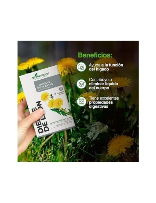 DIENTE DE LEÓN 30 CAP SORIA NATURAL