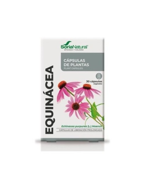 EQUINÁCEA XXI 30 CAP