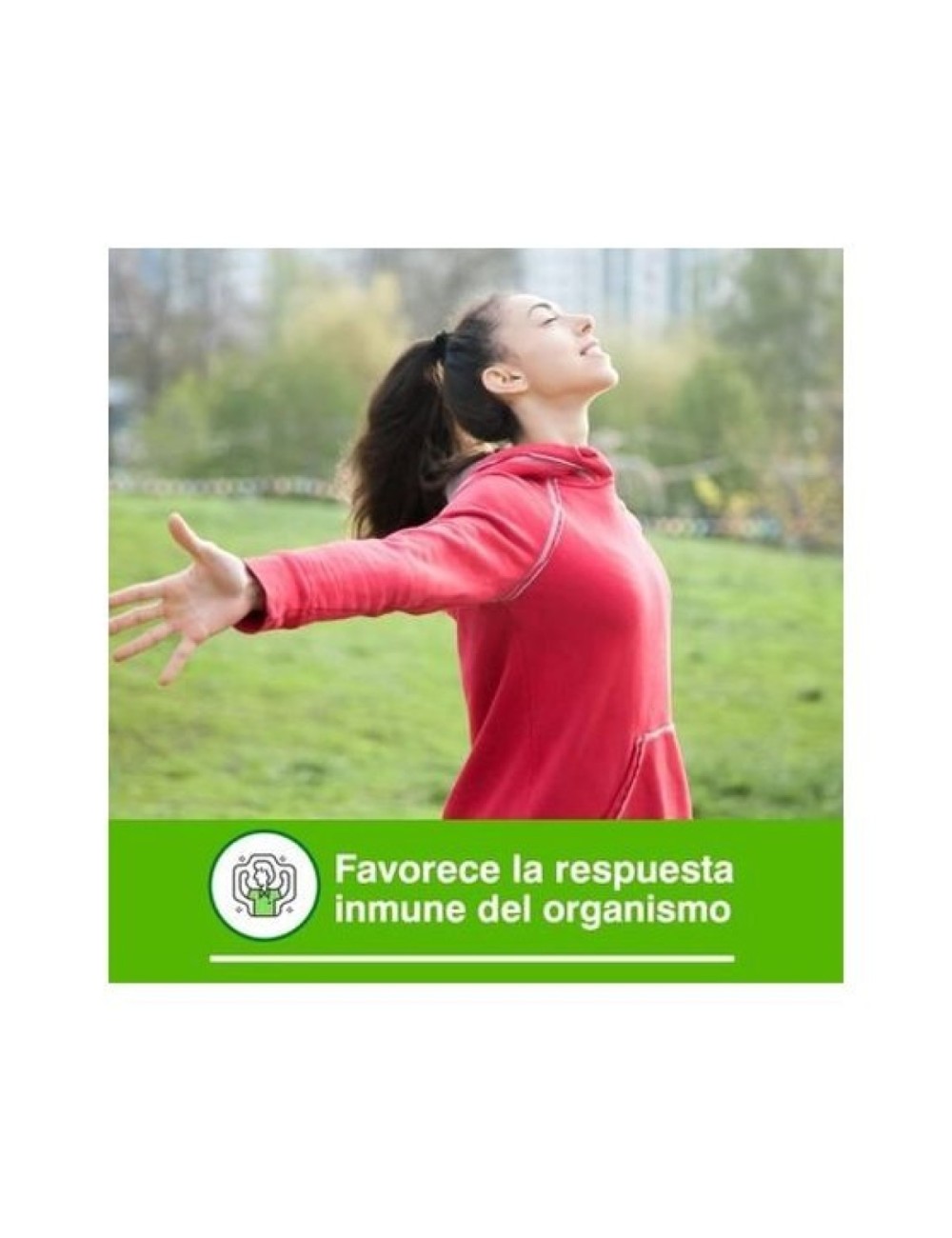 EQUINÁCEA XXI 30 CAP