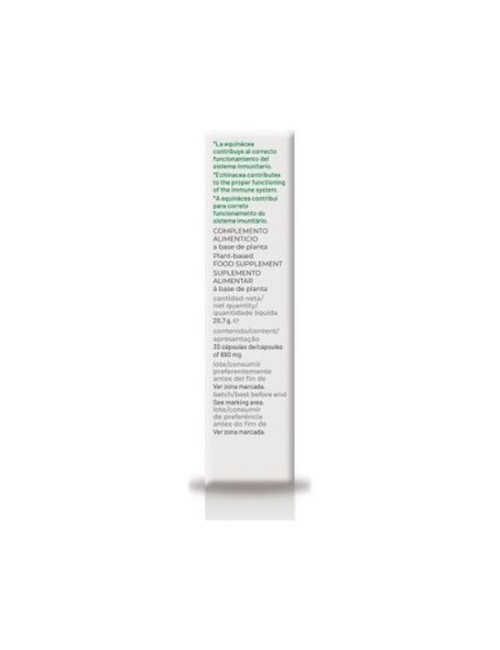 EQUINÁCEA XXI 30 CAP