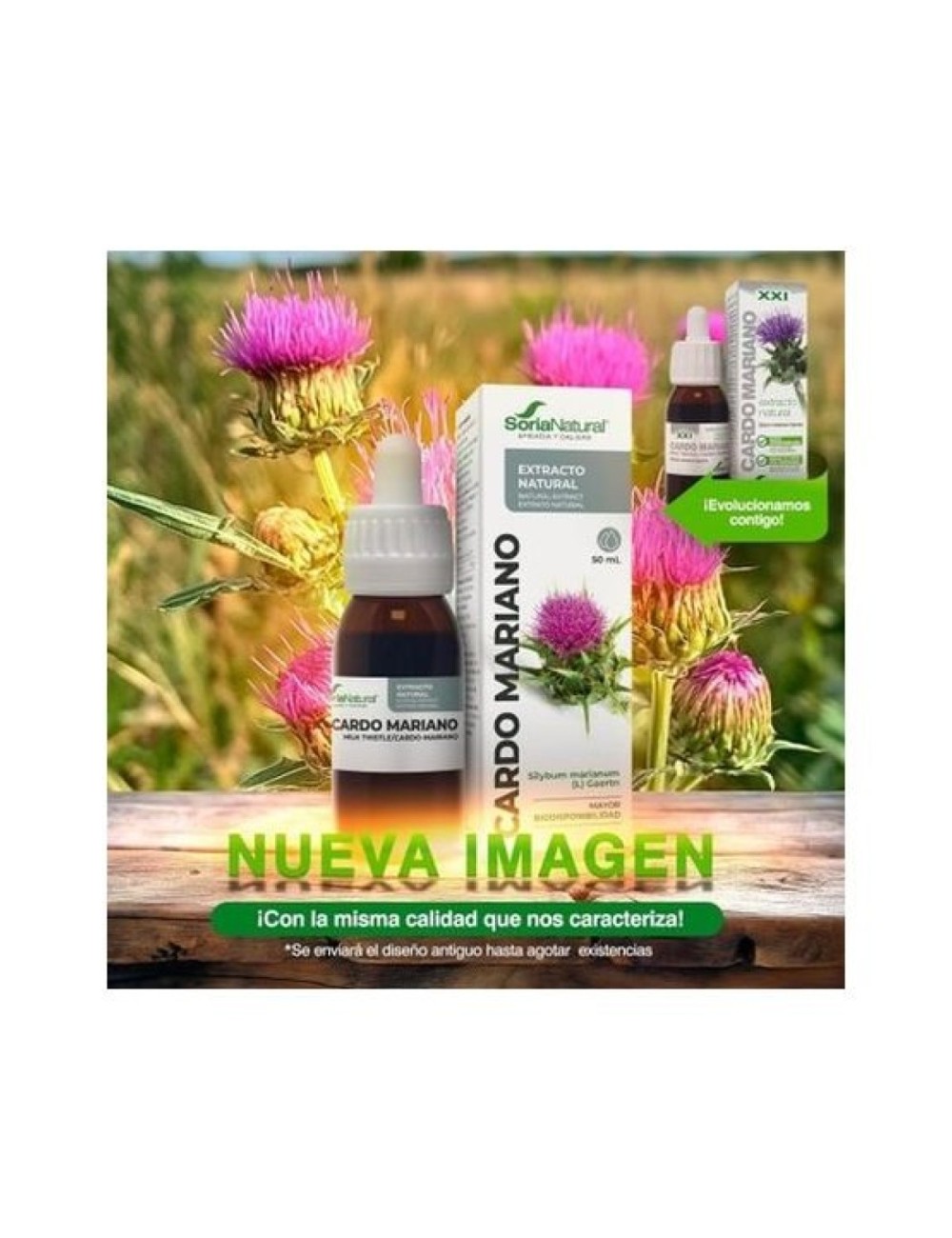 EXTRACTO CARDO MARIANO 50 ML SORIA NATURAL