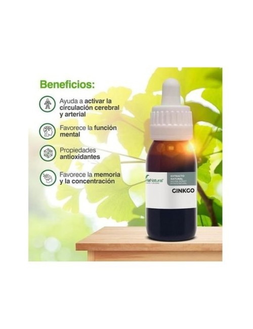 EXTRACTO GINKGO BILOBA 50 ML SORIA NATURAL