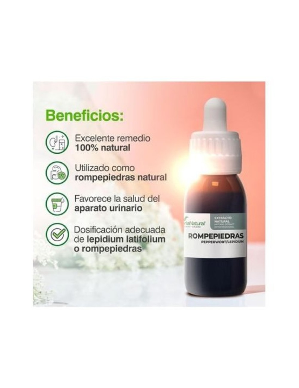 EXTRACTO ROMPEPIEDRAS 50 ML SORIA NATURAL