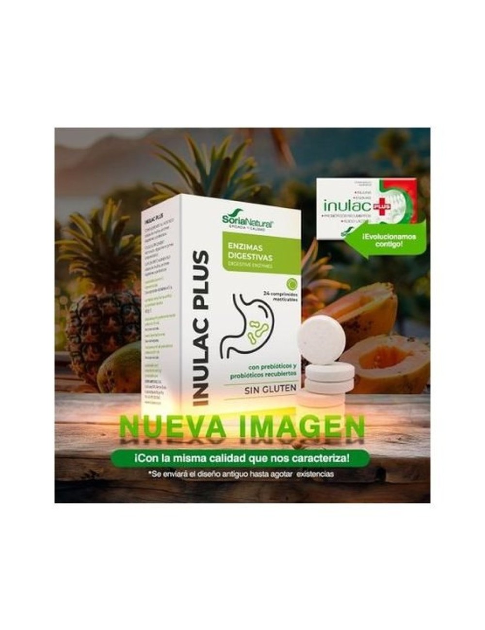INULAC PLUS 24 TAB