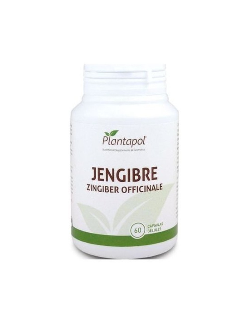 JENGIBRE 60 CAP