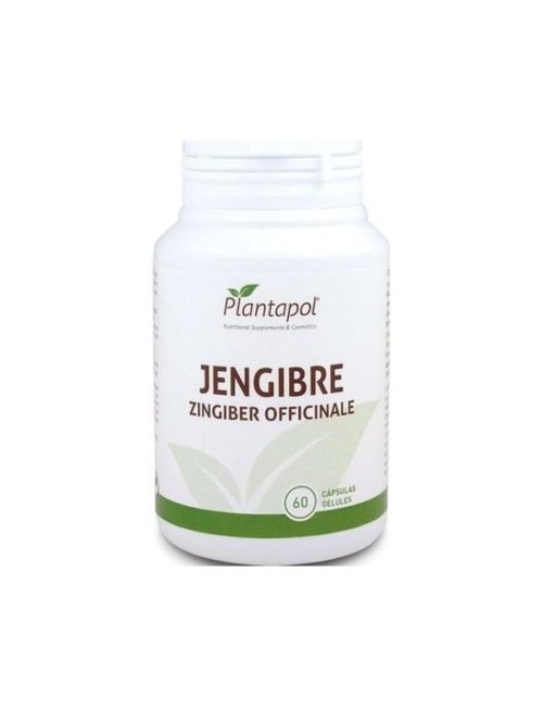 JENGIBRE 60 CAP