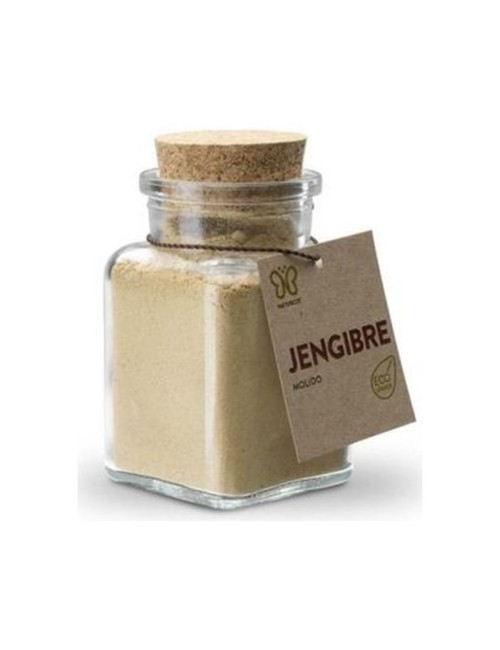 JENGIBRE MOLIDO ECO GOURMET 65 GR