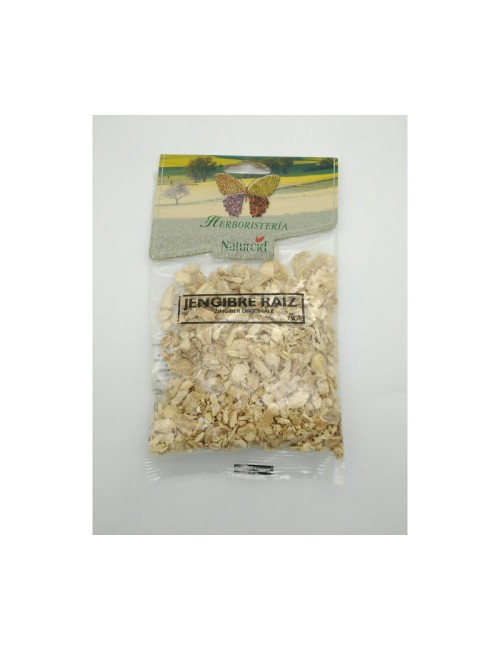 JENGIBRE RAÍZ 75 GR NATURCID