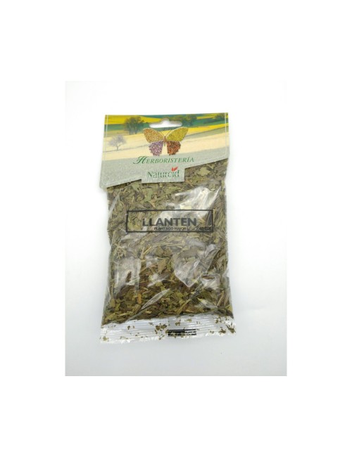 LLANTEN 40 GR NATURCID