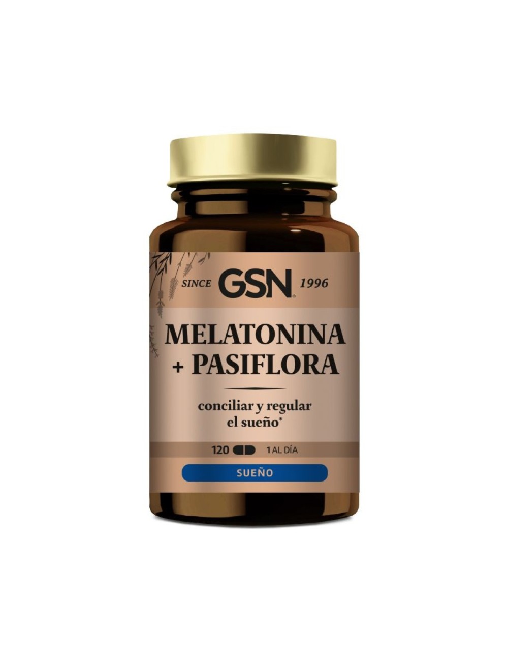 MELATONINA COMPLEX + PASIFLORA 120 COMP GSN