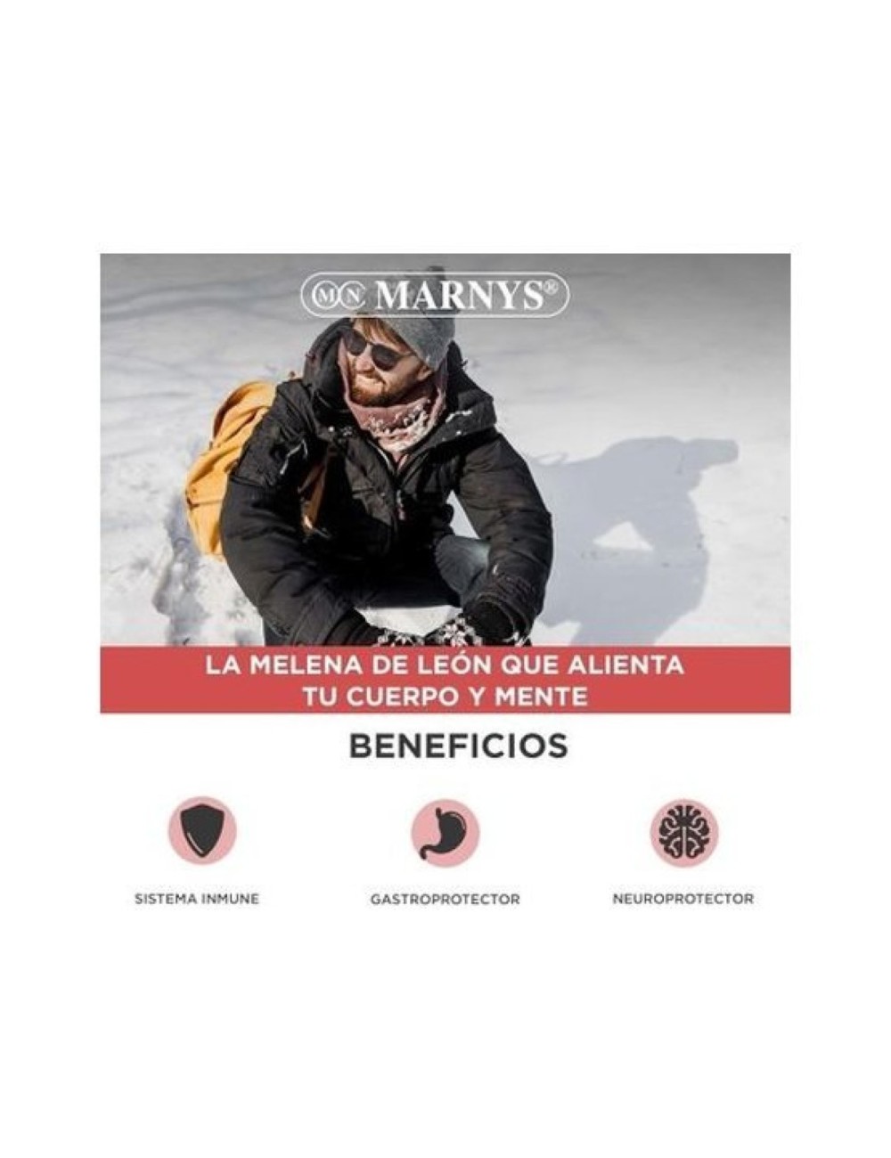MELENA DE LEÓN 30 CAPSULAS MARNYS