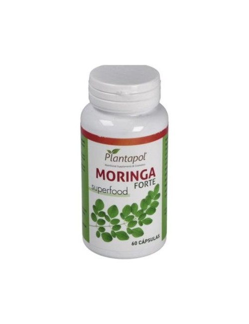 MORINGA FORTE 60 CAP PLANTAPOL