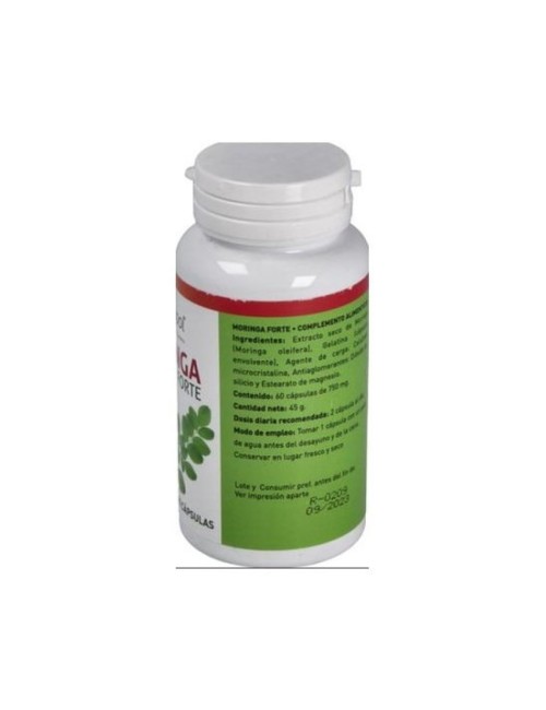 MORINGA FORTE 60 CAP PLANTAPOL