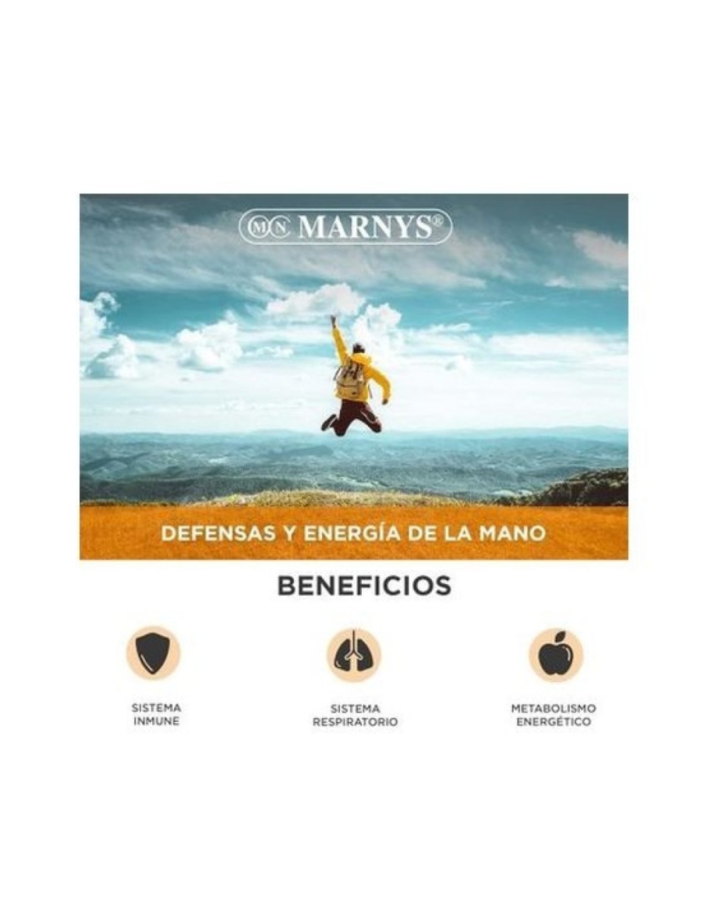 PROPOLVIT 20 VIALES MARNYS