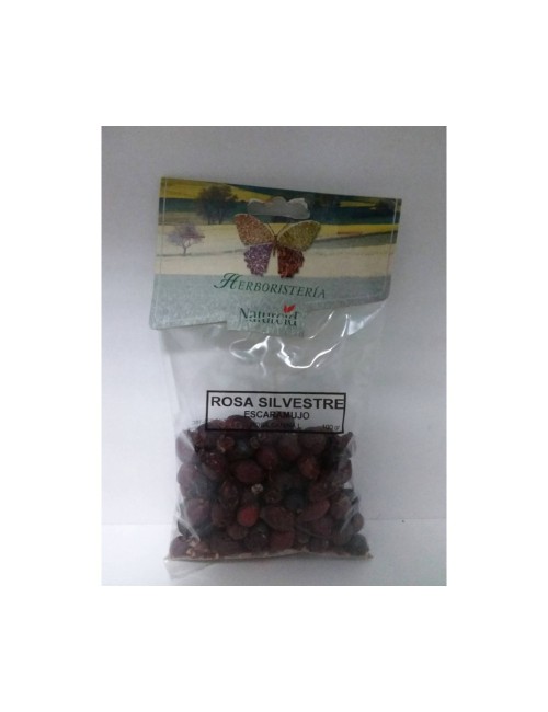 ROSA SILVESTRE (ESCARAMUJO) 100 GR