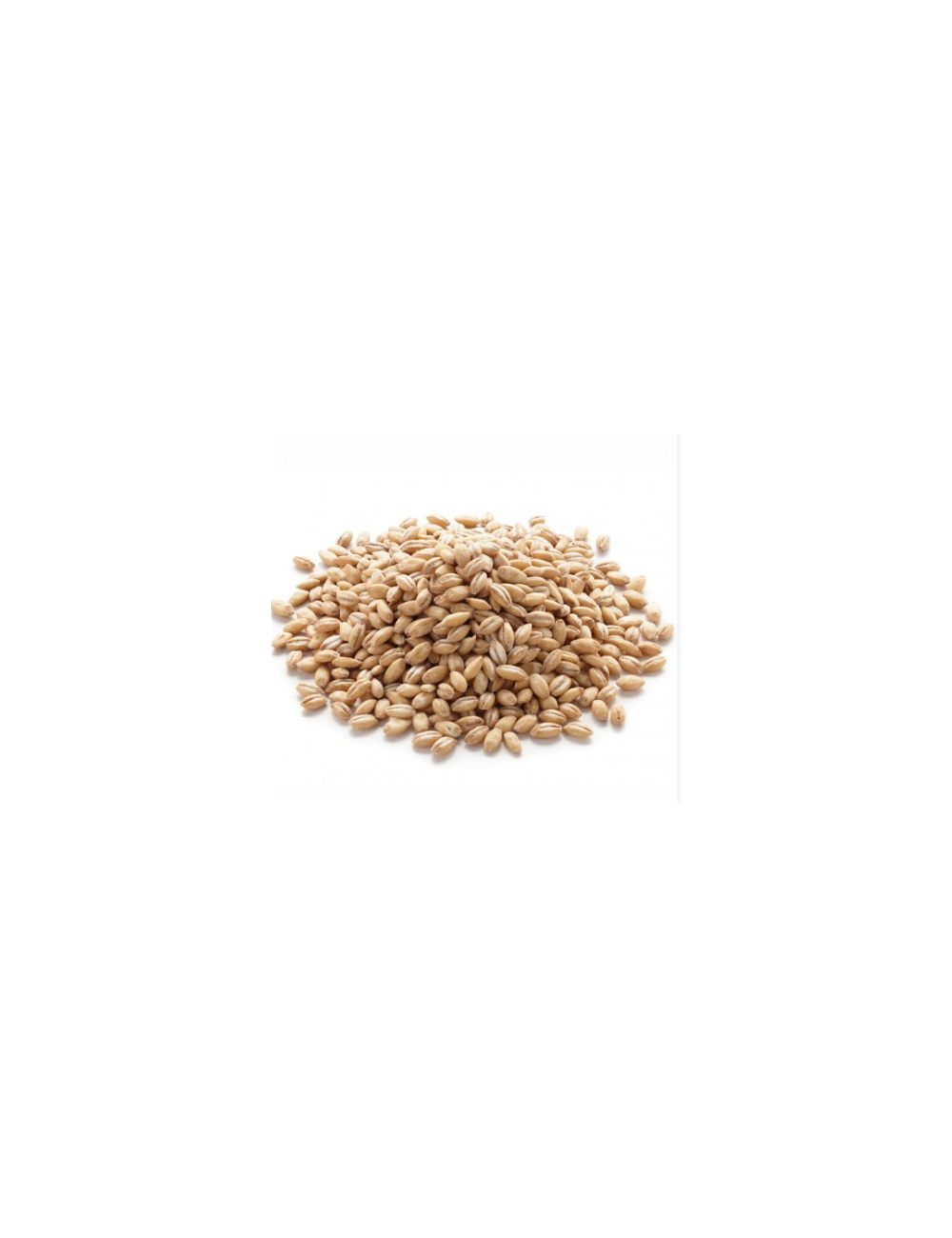 EL GRANERO CEBADA PERLADA 500 GR