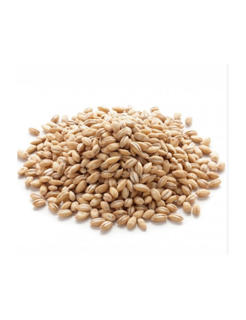 EL GRANERO CEBADA PERLADA 500 GR