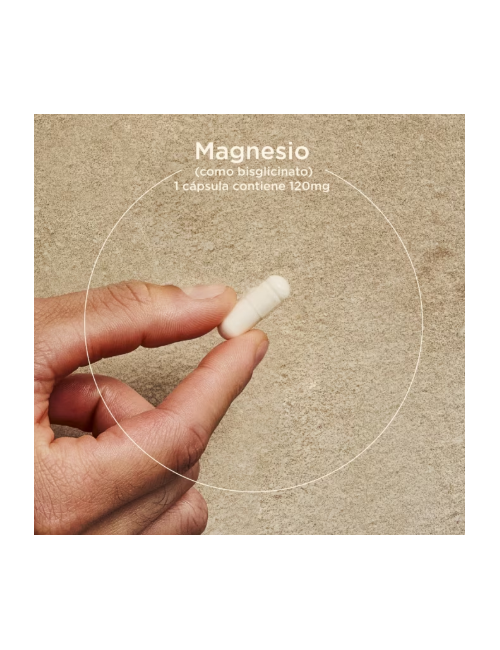 SOLGAR MAGNESIO BISGLICINATO 60 CAPSULAS