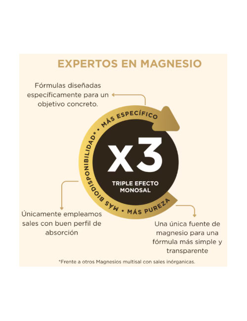 SOLGAR MAGNESIO + VITAMINA B6 100 COMP