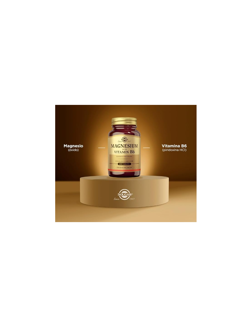 SOLGAR MAGNESIO + VITAMINA B6 250 COMP