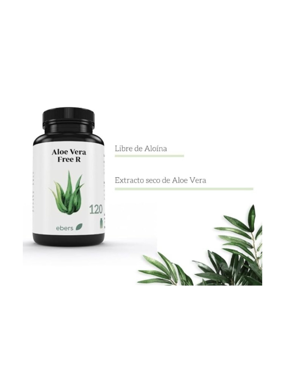 EBERS ALOE VERA 120 COMP
