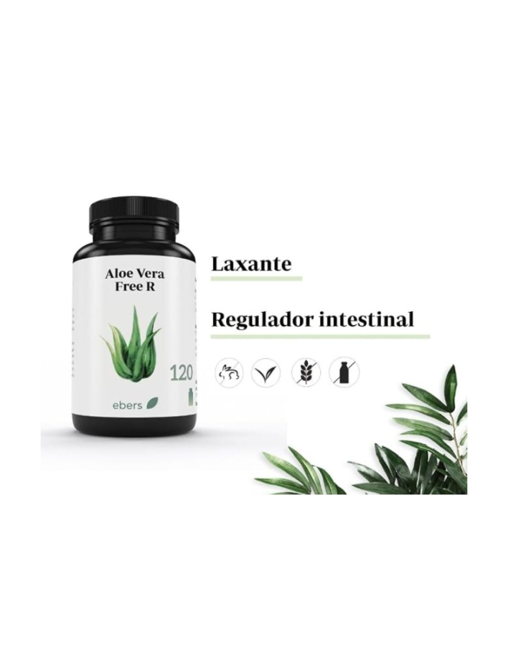EBERS ALOE VERA 120 COMP