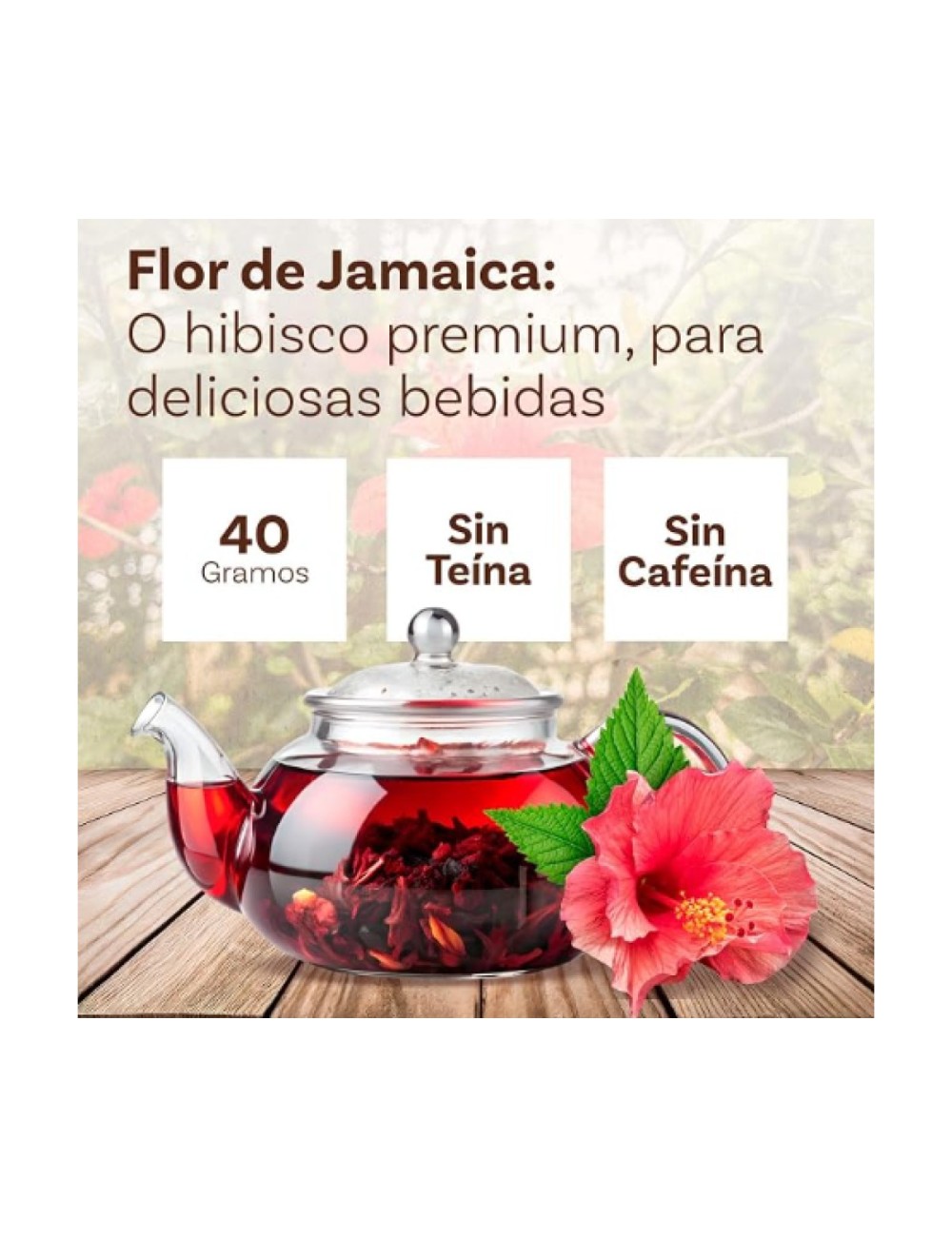 NATURCID HIBISCO FLOR DE JAMAICA 45 GR