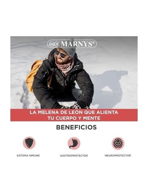 MARNYS MELENA DE LEÓN 30 CAPSULAS