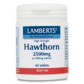 Hawthorn 60 Tab Espino Blanco