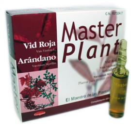 Master Plant Vid Roja Arandano 20 Viales
