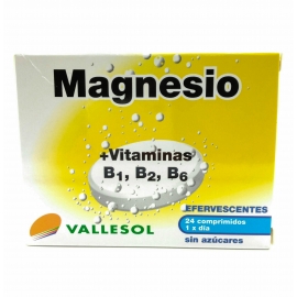 Magnesio 24 Comp Efer