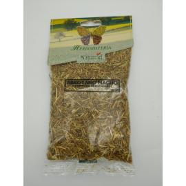 Abrotano Macho 70 Gr Eco