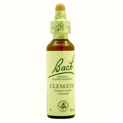 Bach Clematis (Clematide) 20 Ml